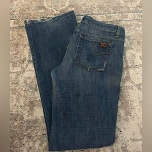 Joes Jeans size 31